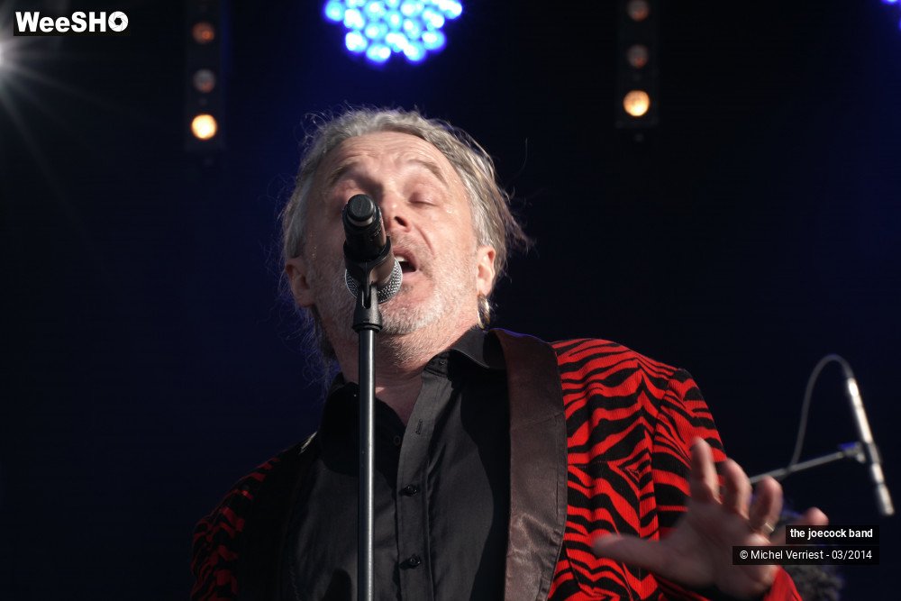 16/46 photos du spectacle the joecock band