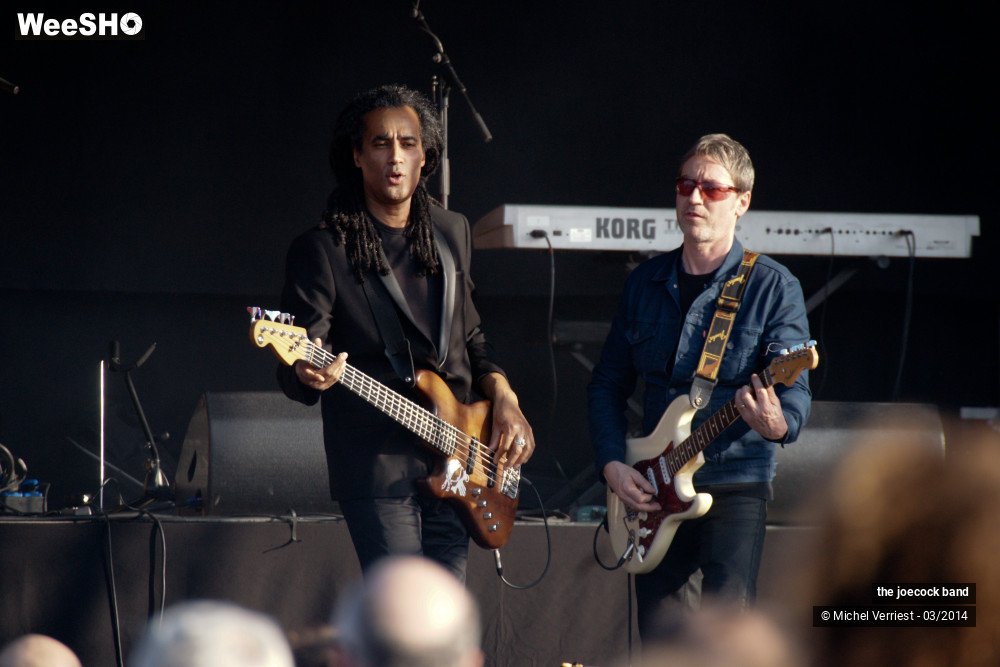 17/46 photos du spectacle the joecock band