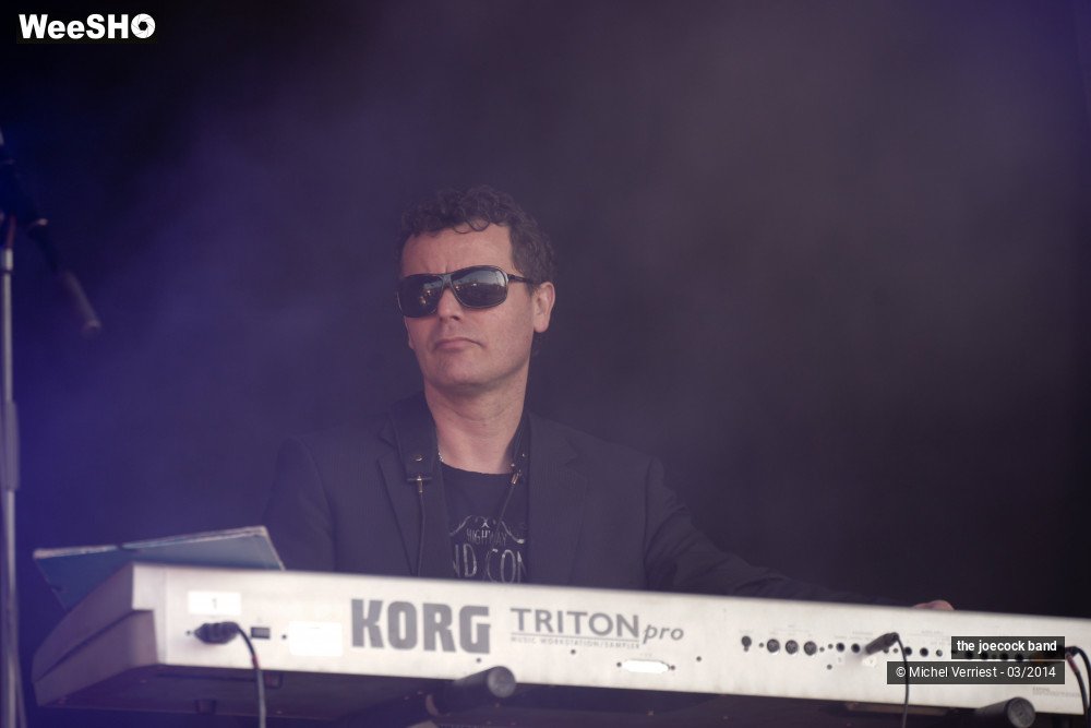 18/46 photos du spectacle the joecock band