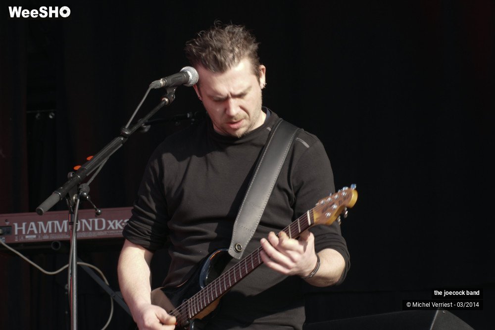 20/46 photos du spectacle the joecock band