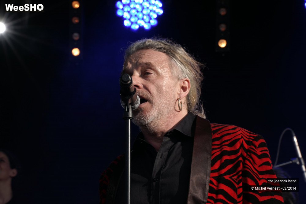 21/46 photos du spectacle the joecock band