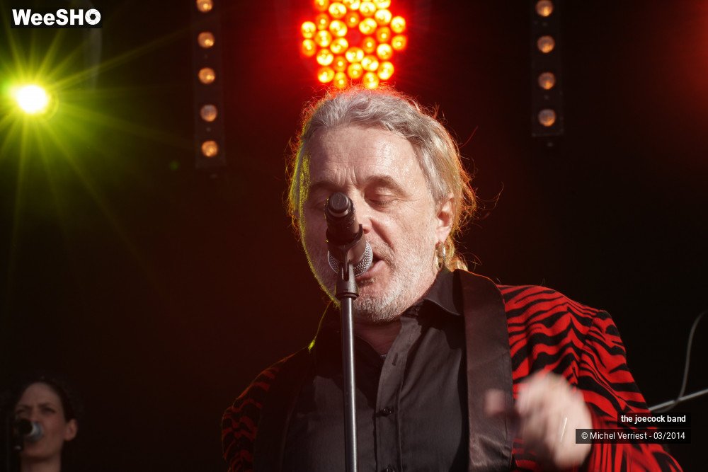 23/46 photos du spectacle the joecock band