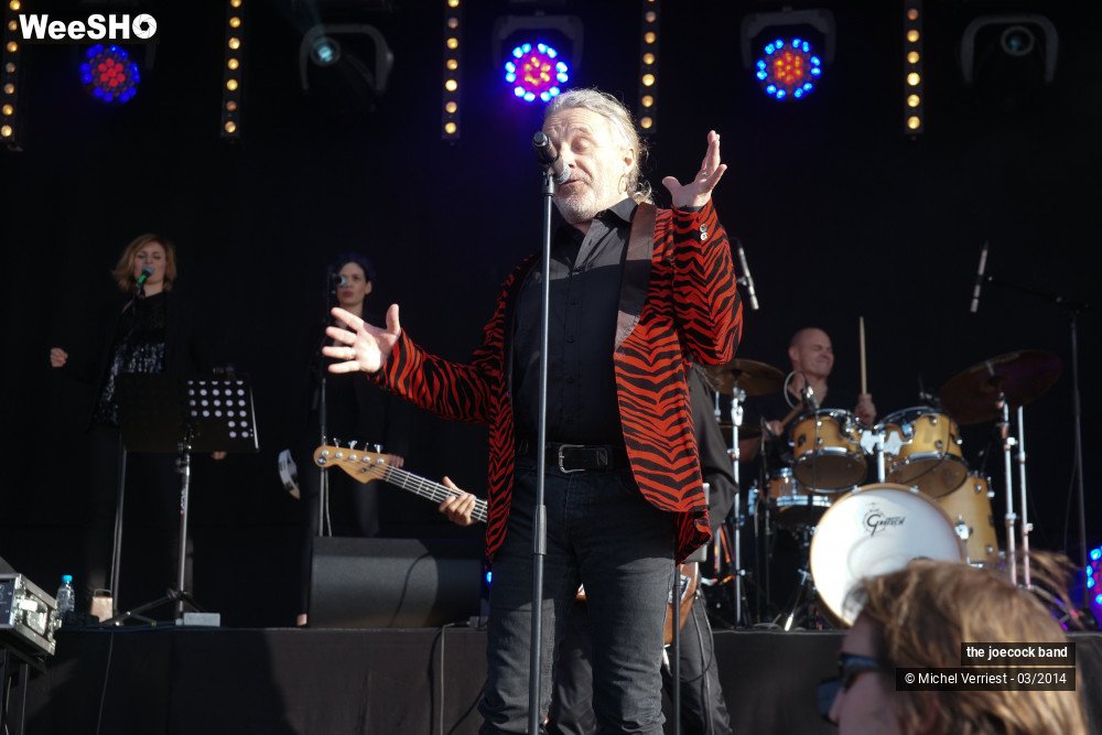 24/46 photos du spectacle the joecock band