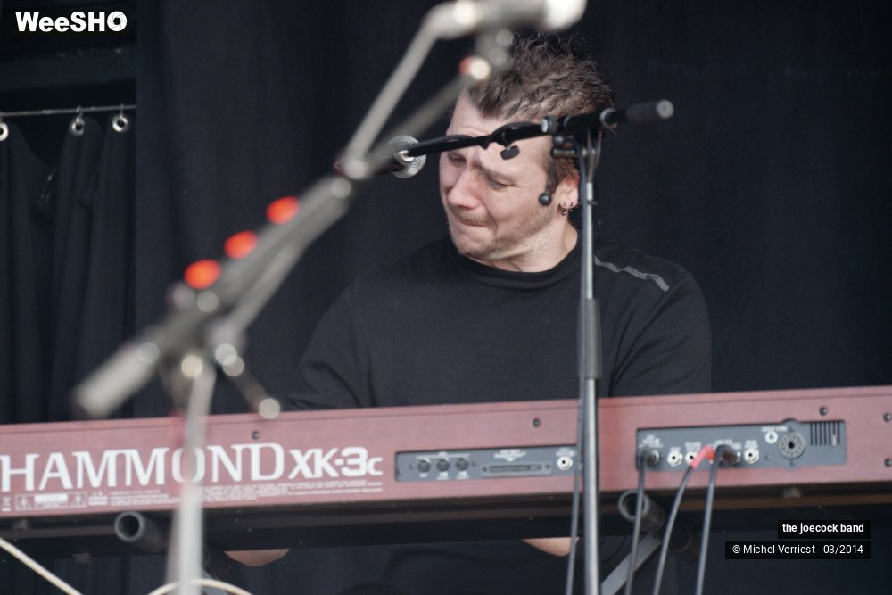 26/46 photos du spectacle the joecock band
