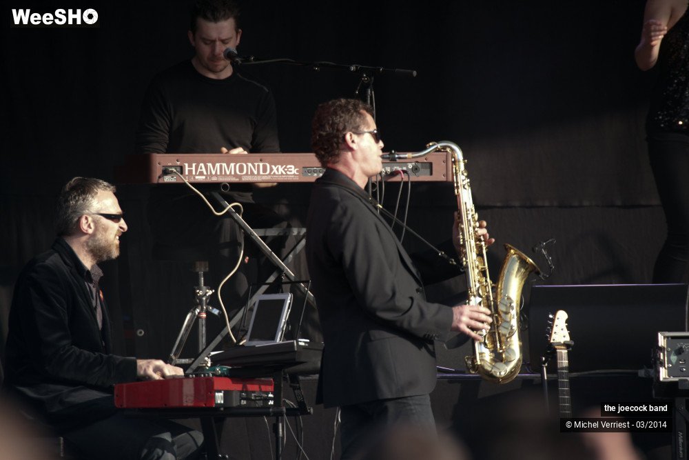 30/46 photos du spectacle the joecock band