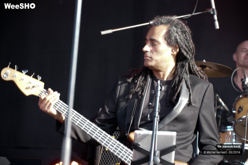 31/46 photos du spectacle the joecock band