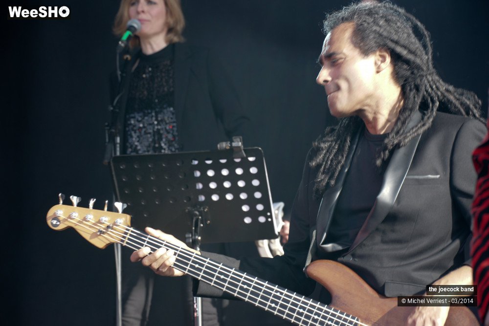 32/46 photos du spectacle the joecock band