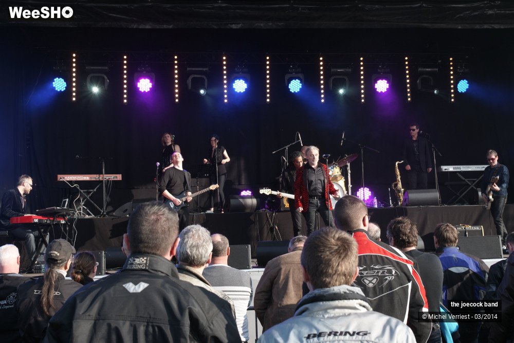 33/46 photos du spectacle the joecock band