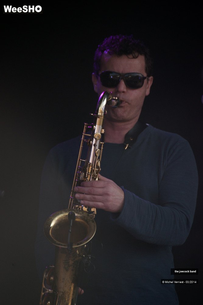35/46 photos du spectacle the joecock band