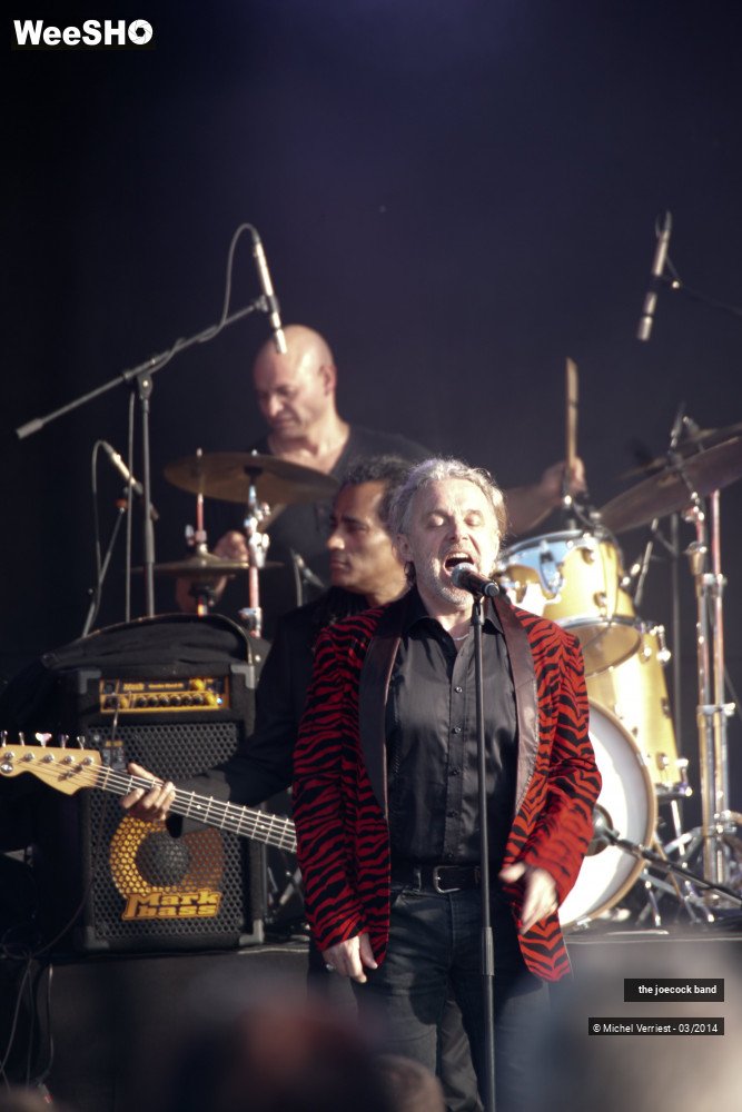 36/46 photos du spectacle the joecock band