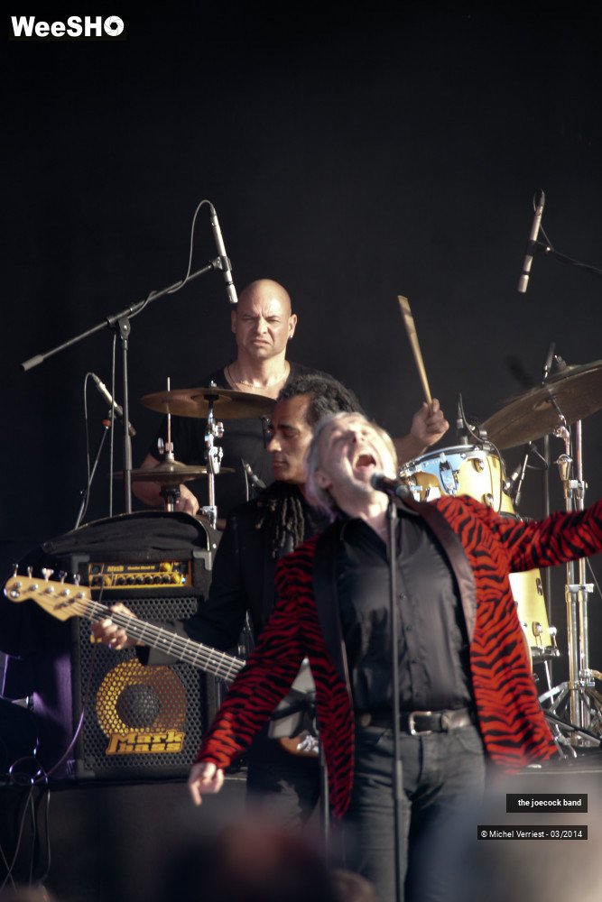 39/46 photos du spectacle the joecock band