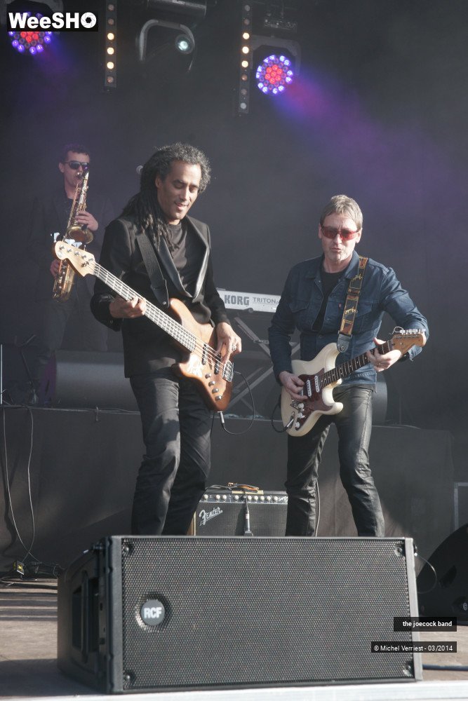 41/46 photos du spectacle the joecock band