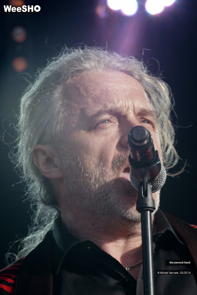 42/46 photos du spectacle the joecock band