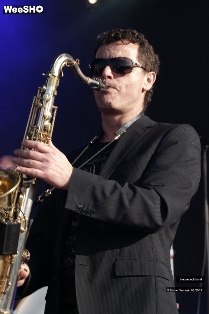 45/46 photos du spectacle the joecock band