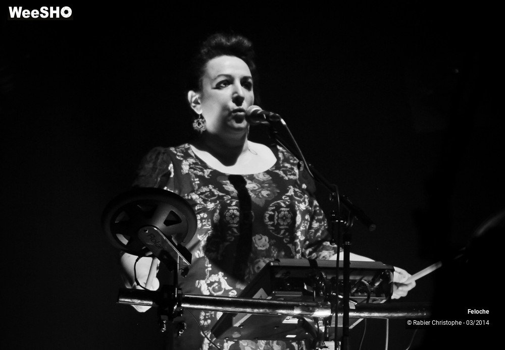 1/40 photos du spectacle Feloche