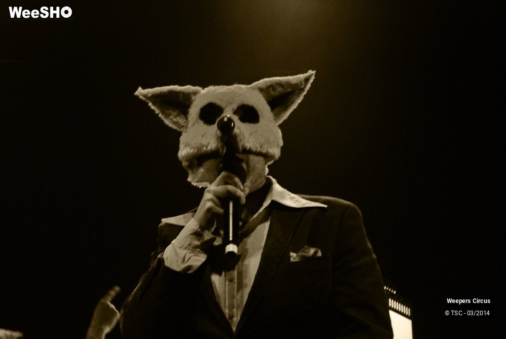 8/35 photos du spectacle Weepers Circus
