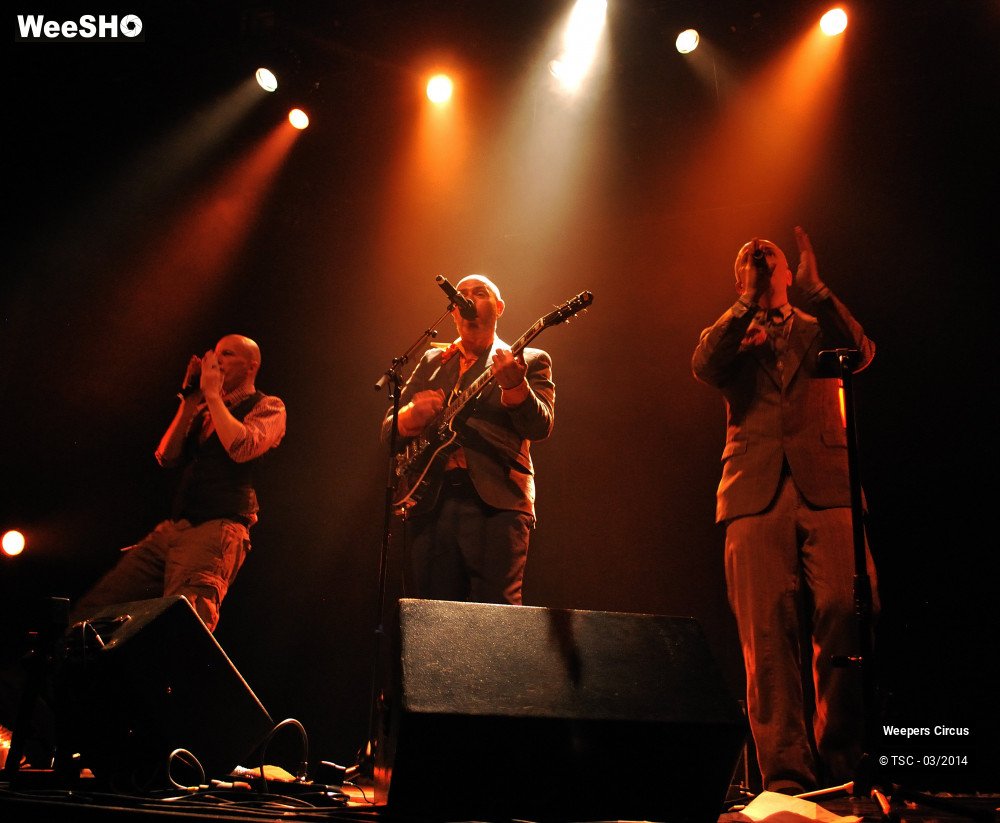 17/35 photos du spectacle Weepers Circus