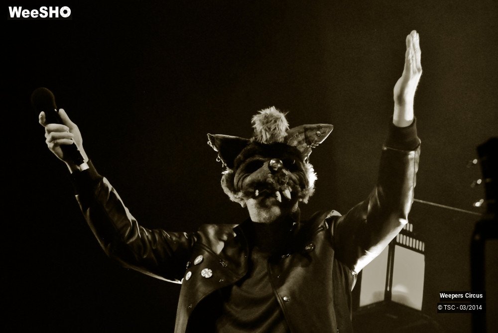 25/35 photos du spectacle Weepers Circus