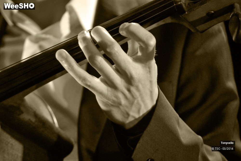 3/34 photos du spectacle Tonycello