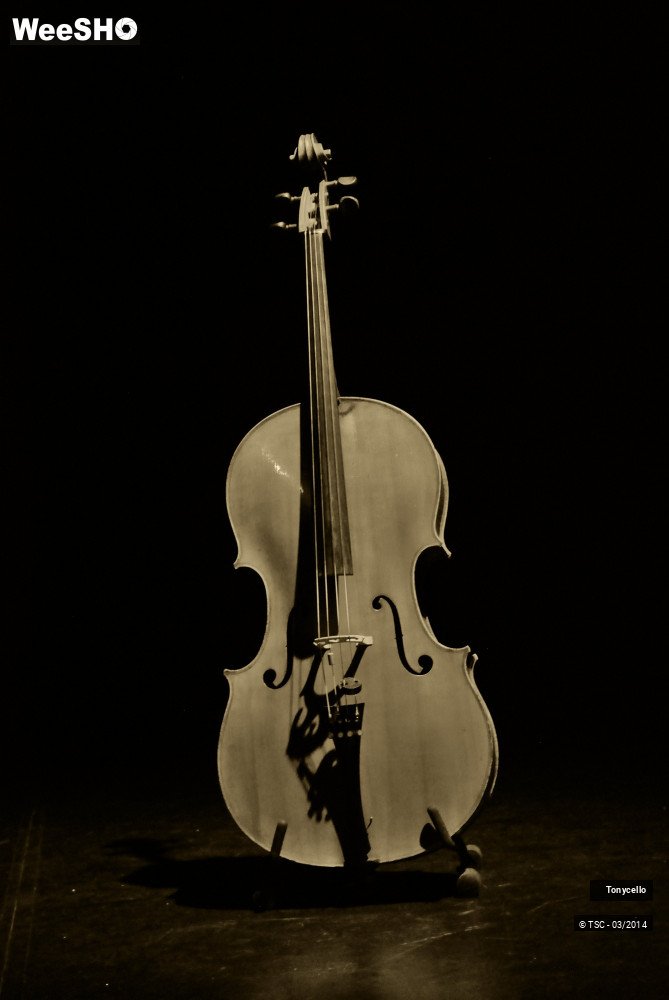 32/34 photos du spectacle Tonycello