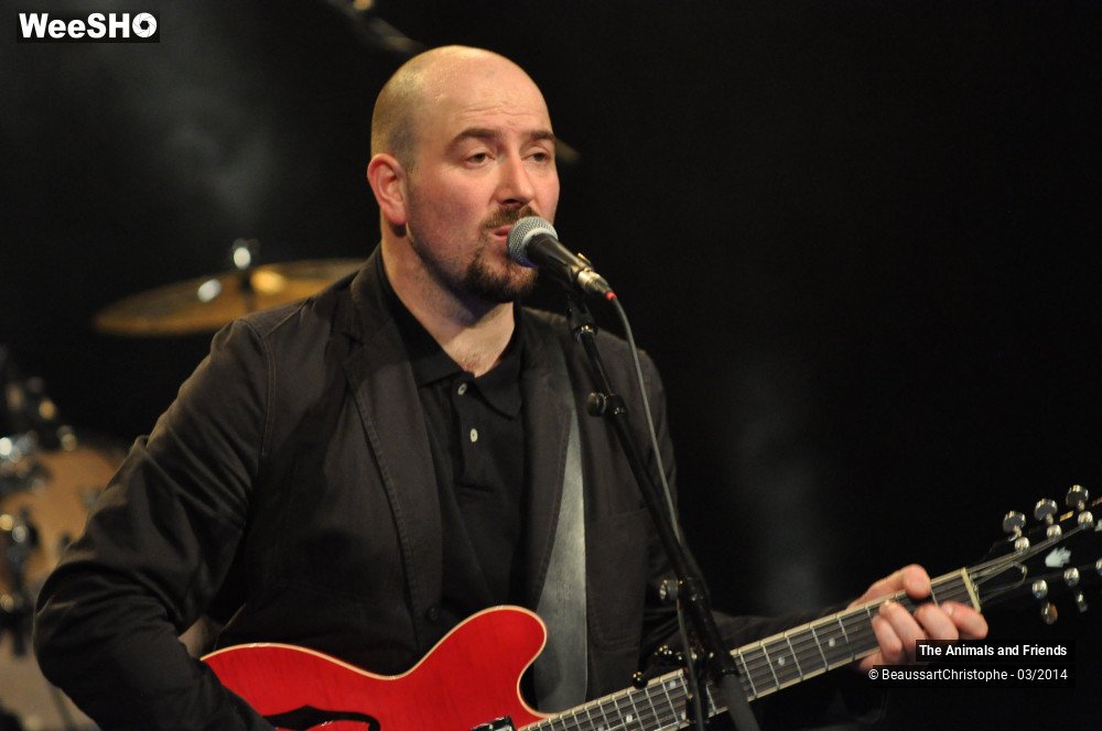 39/44 photos du spectacle The Animals and Friends