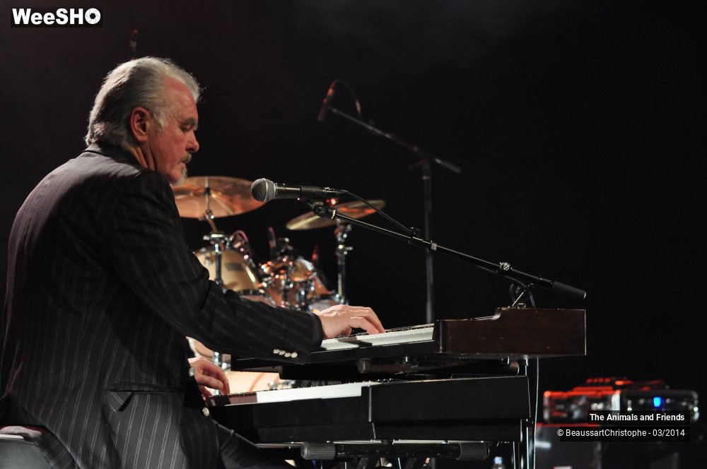 40/44 photos du spectacle The Animals and Friends