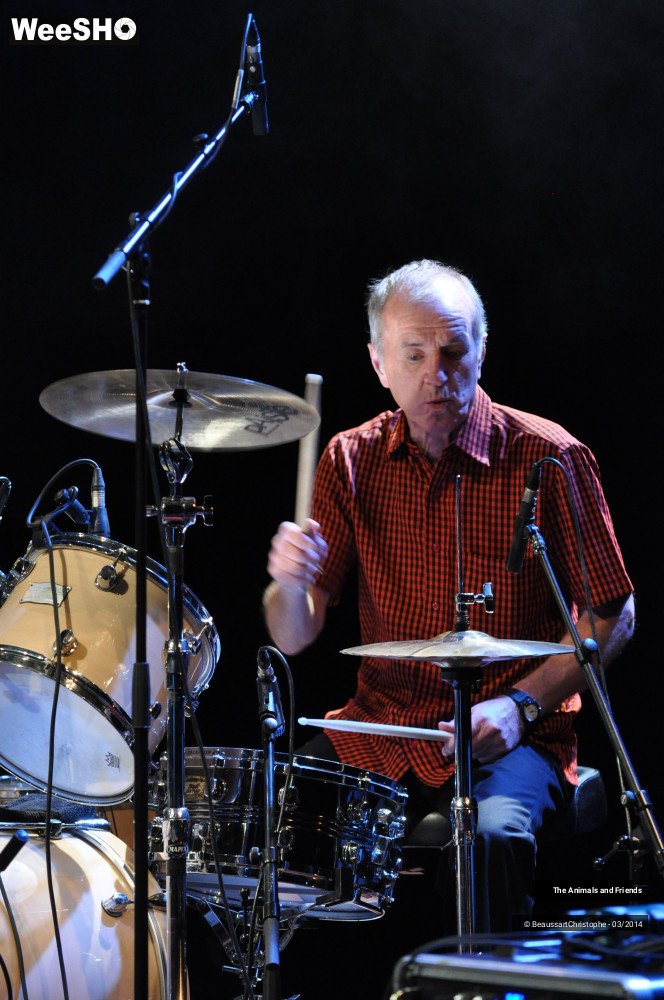42/44 photos du spectacle The Animals and Friends