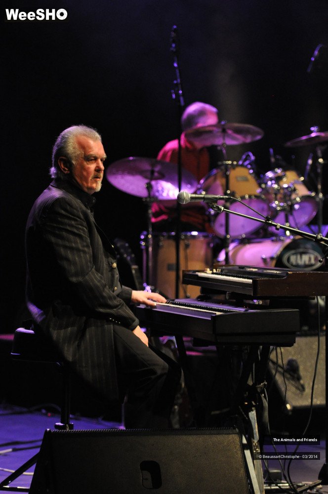 43/44 photos du spectacle The Animals and Friends