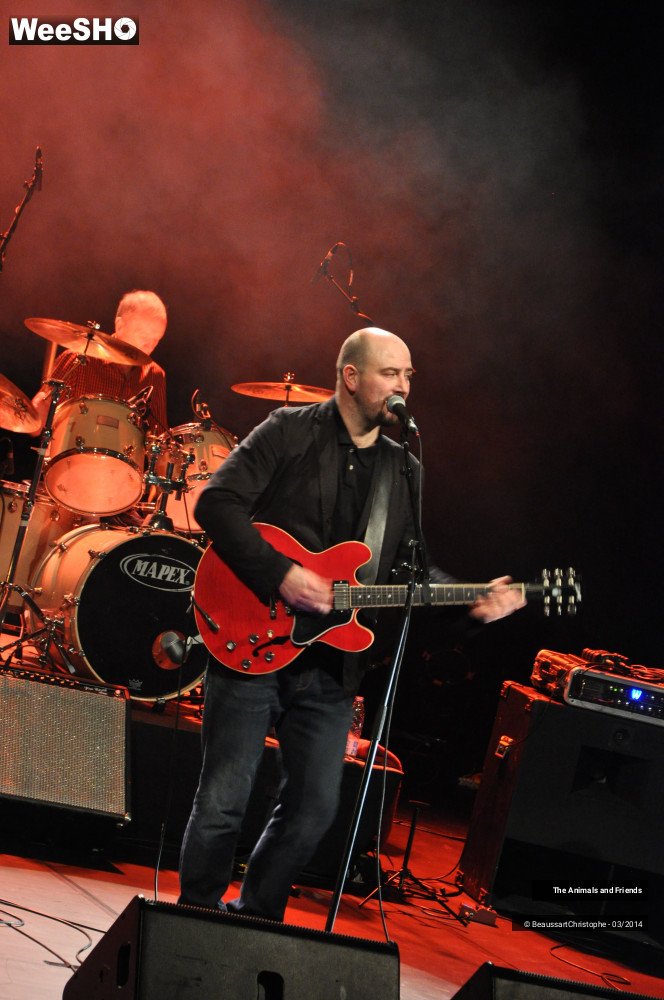 44/44 photos du spectacle The Animals and Friends