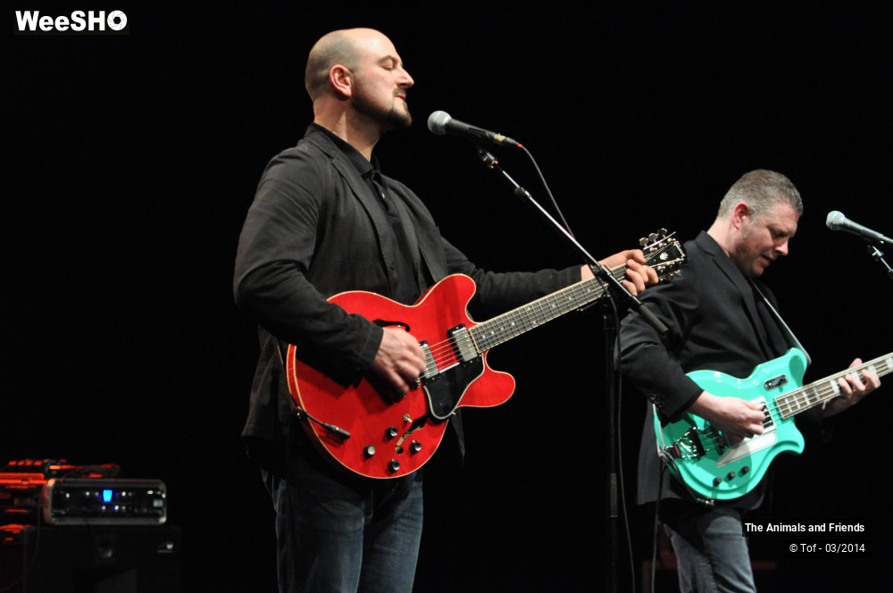 1/44 photos du spectacle The Animals and Friends