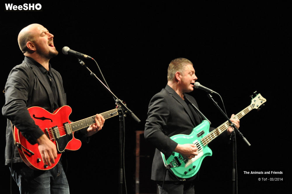 2/44 photos du spectacle The Animals and Friends