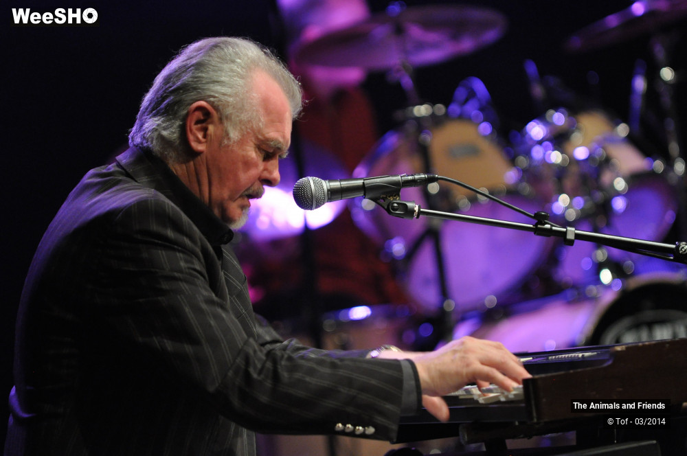 3/44 photos du spectacle The Animals and Friends