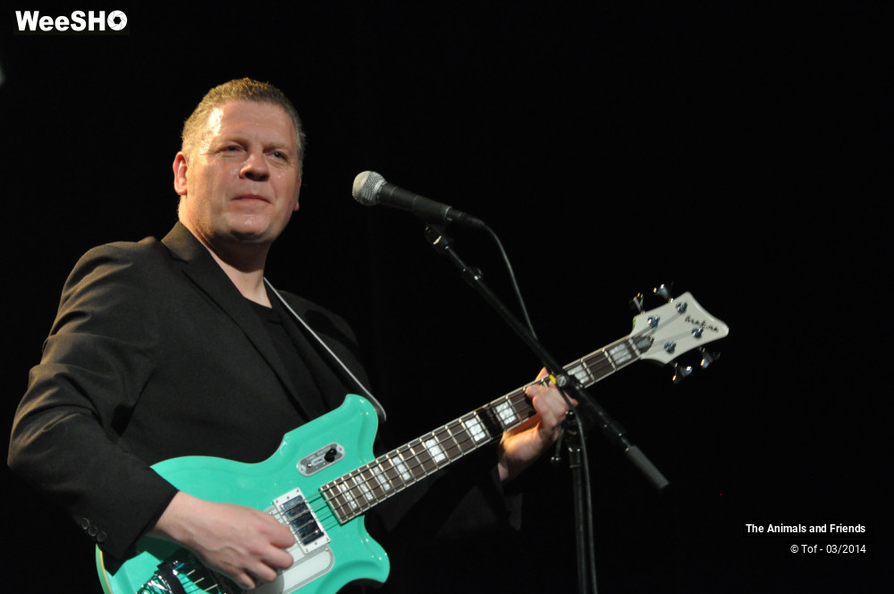 4/44 photos du spectacle The Animals and Friends