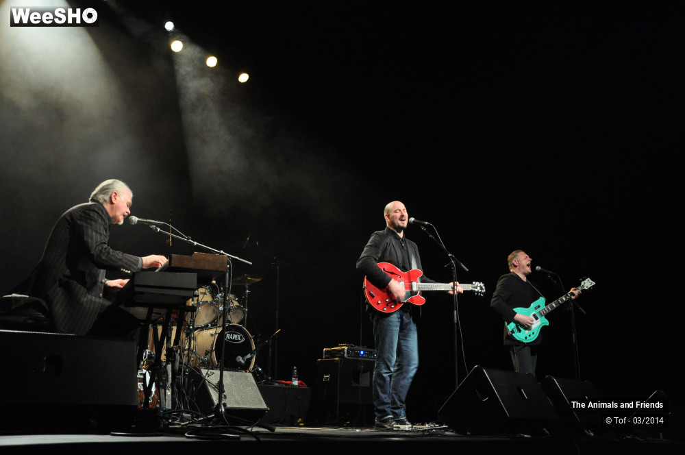 5/44 photos du spectacle The Animals and Friends