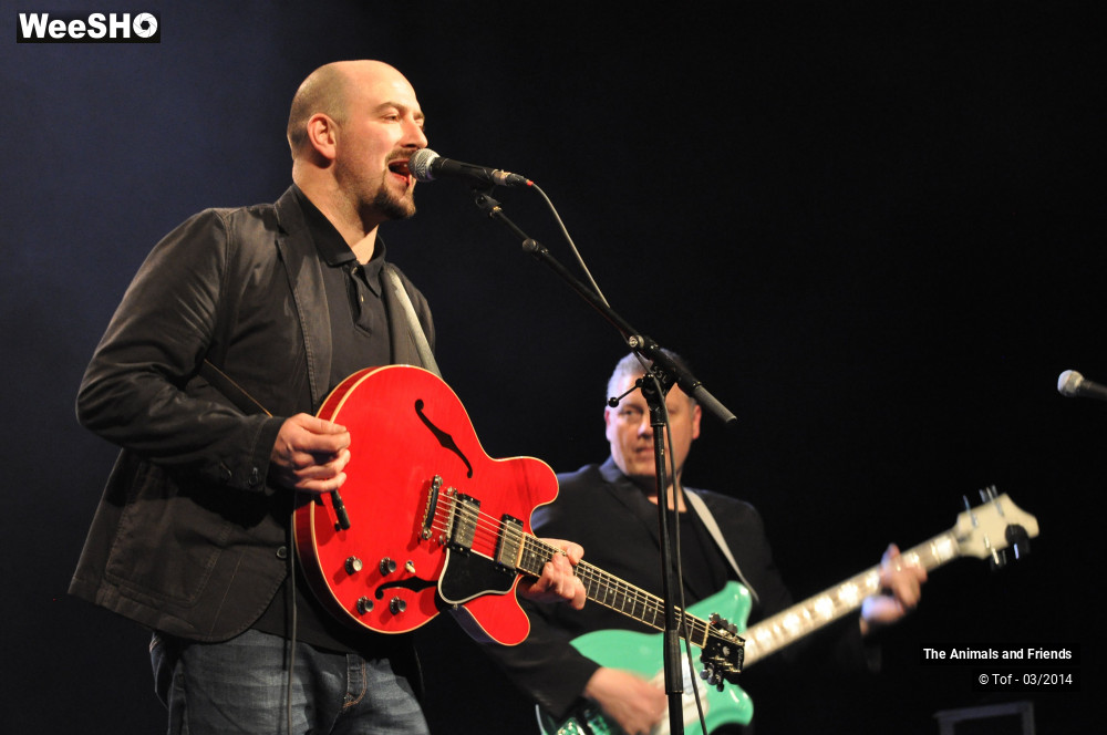 6/44 photos du spectacle The Animals and Friends