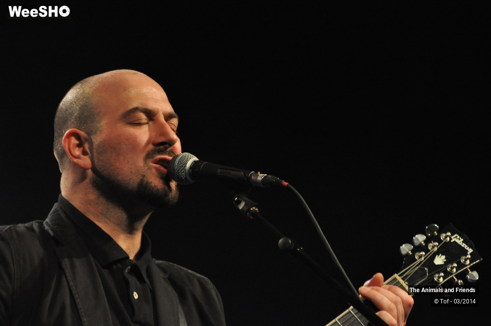 7/44 photos du spectacle The Animals and Friends