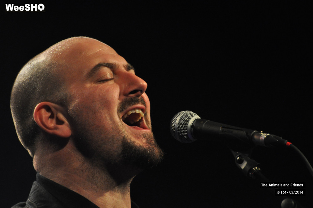 8/44 photos du spectacle The Animals and Friends