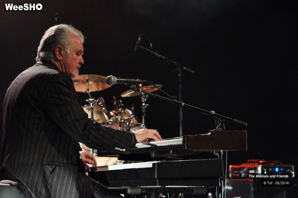 9/44 photos du spectacle The Animals and Friends