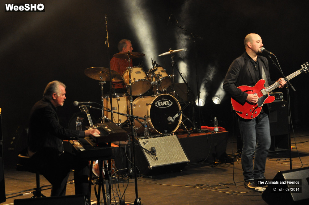 11/44 photos du spectacle The Animals and Friends