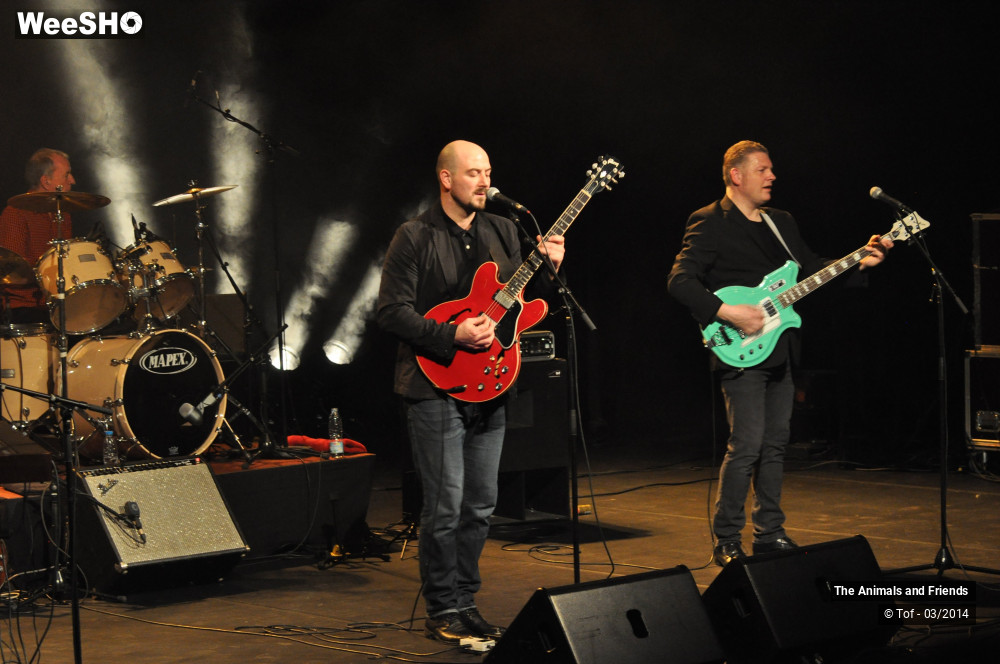 12/44 photos du spectacle The Animals and Friends