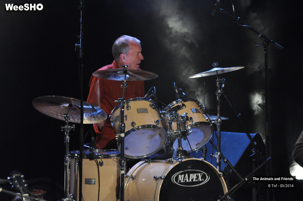 13/44 photos du spectacle The Animals and Friends