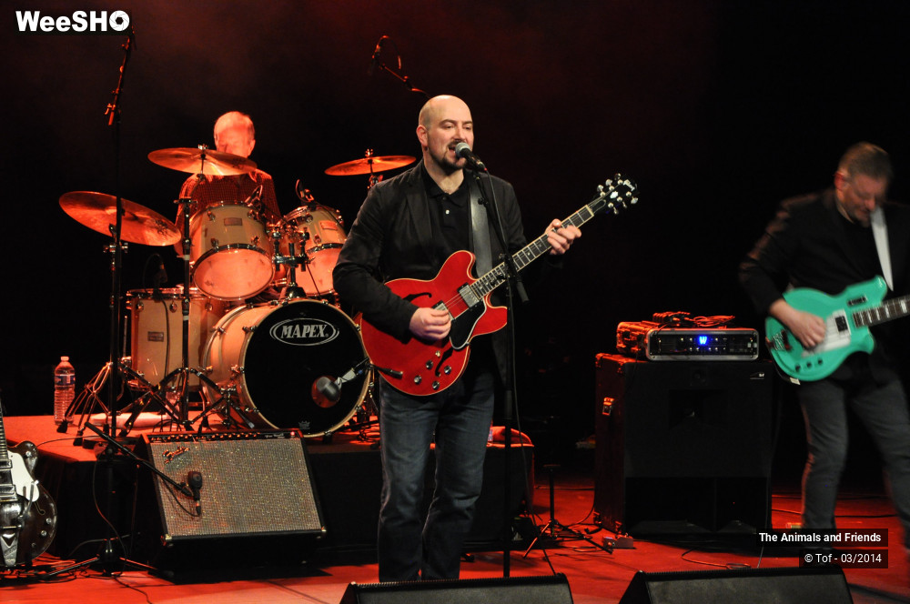 14/44 photos du spectacle The Animals and Friends