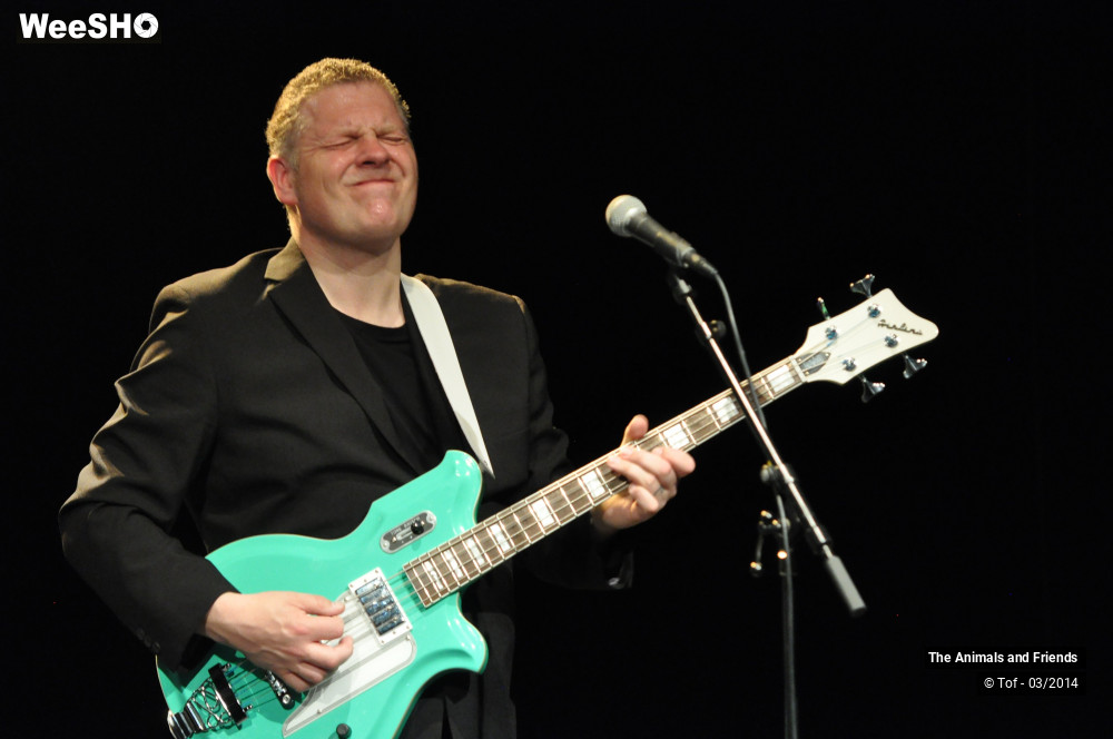 16/44 photos du spectacle The Animals and Friends