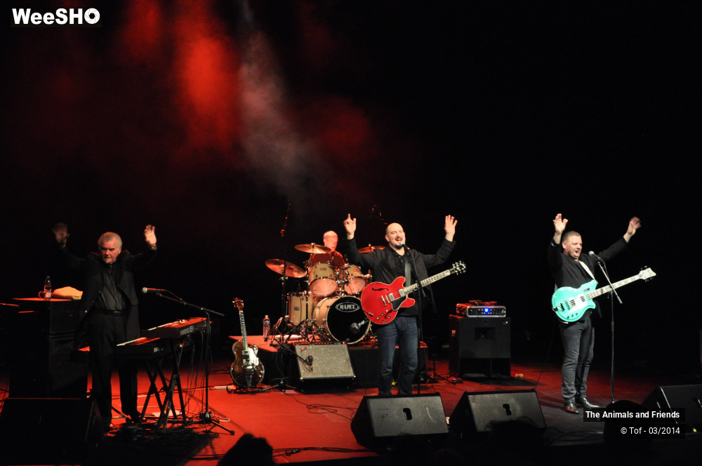 17/44 photos du spectacle The Animals and Friends