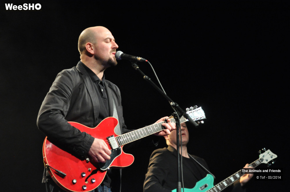 18/44 photos du spectacle The Animals and Friends