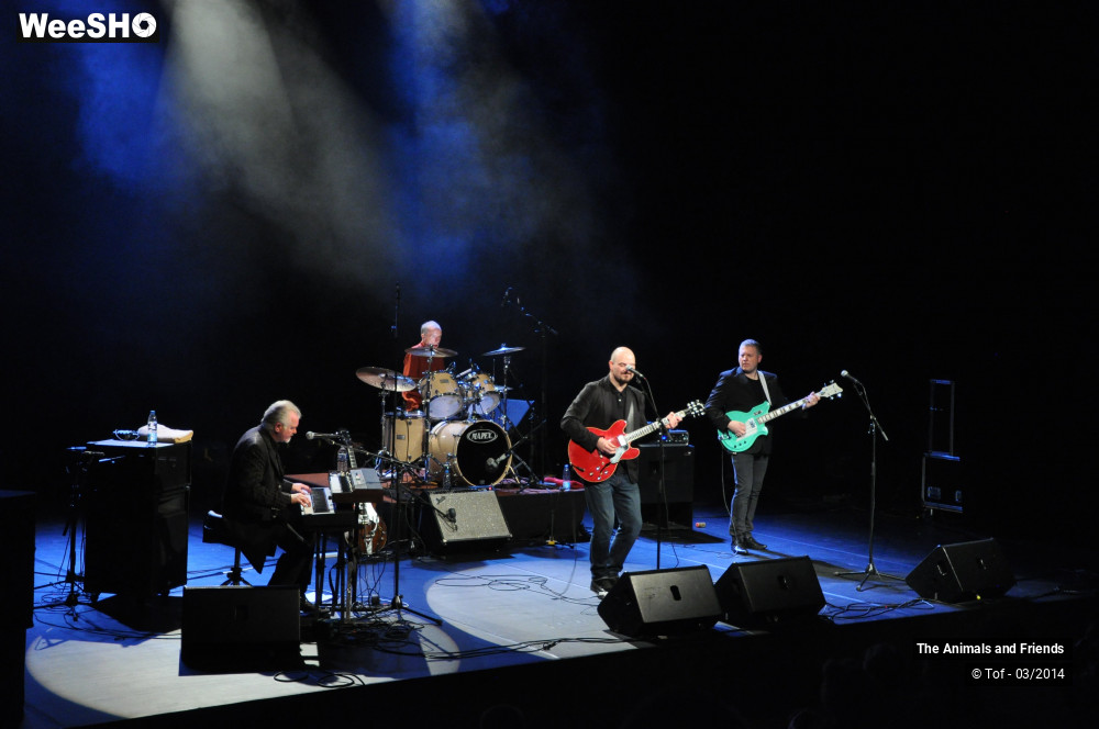 19/44 photos du spectacle The Animals and Friends