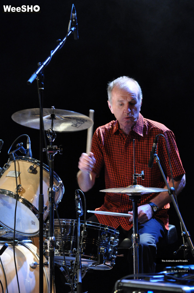 20/44 photos du spectacle The Animals and Friends