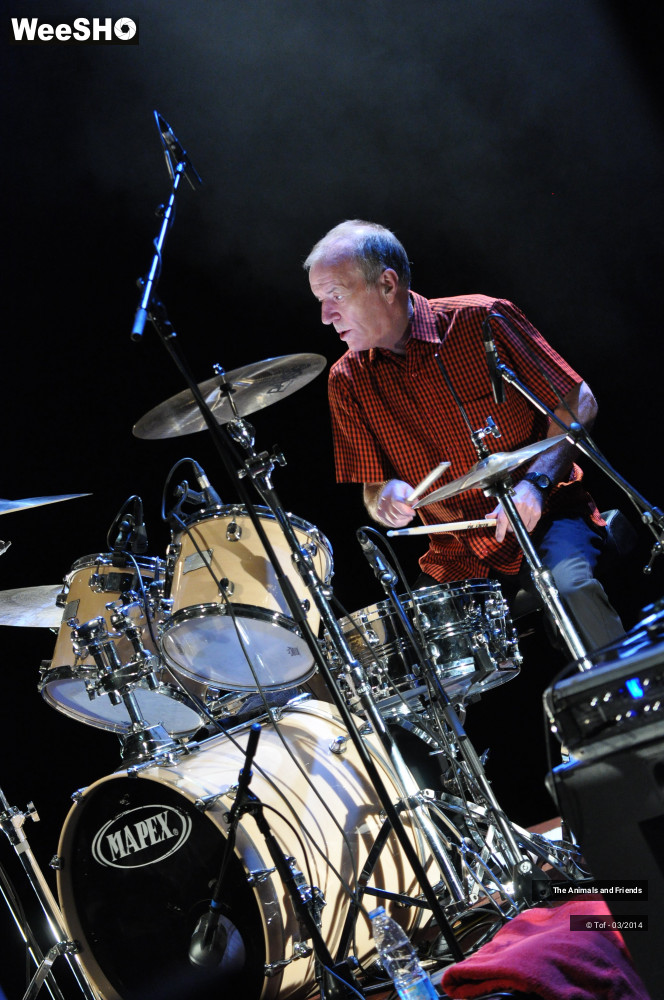 21/44 photos du spectacle The Animals and Friends