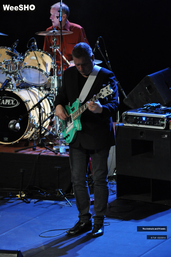 22/44 photos du spectacle The Animals and Friends