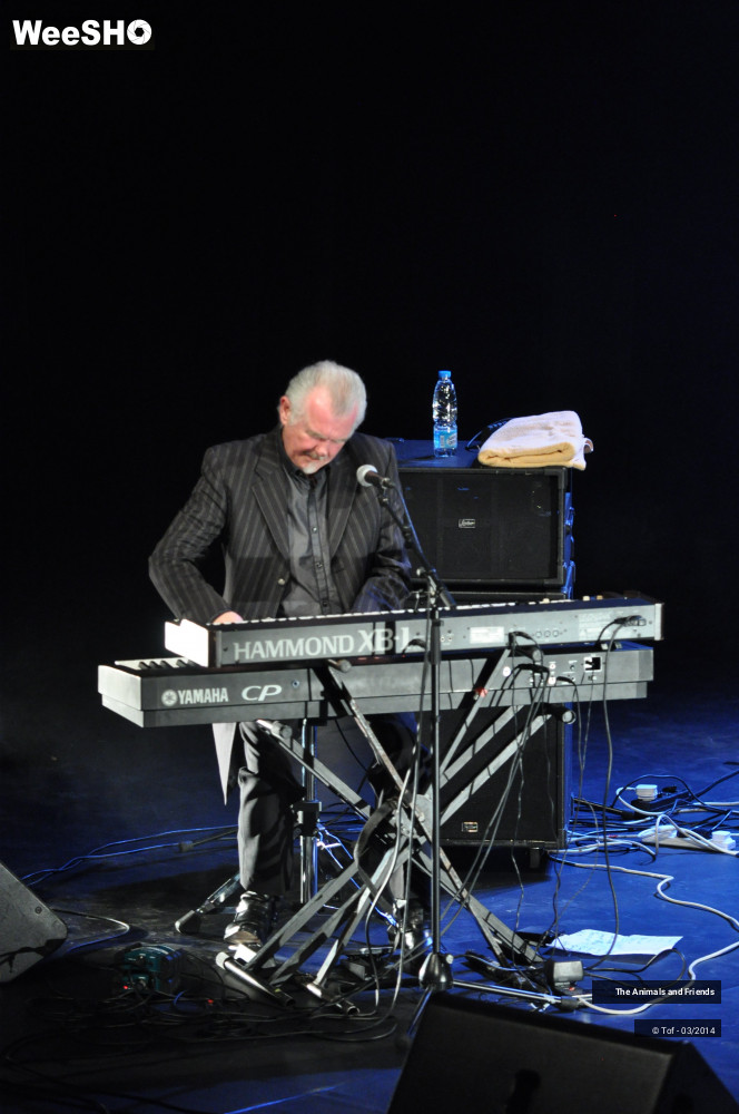 23/44 photos du spectacle The Animals and Friends